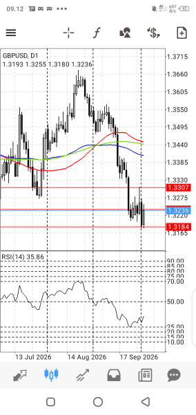 Opeope No Mi's Trading Journal