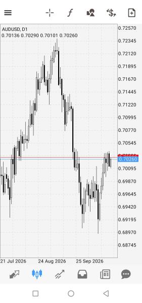 anakemas Trading Journal
